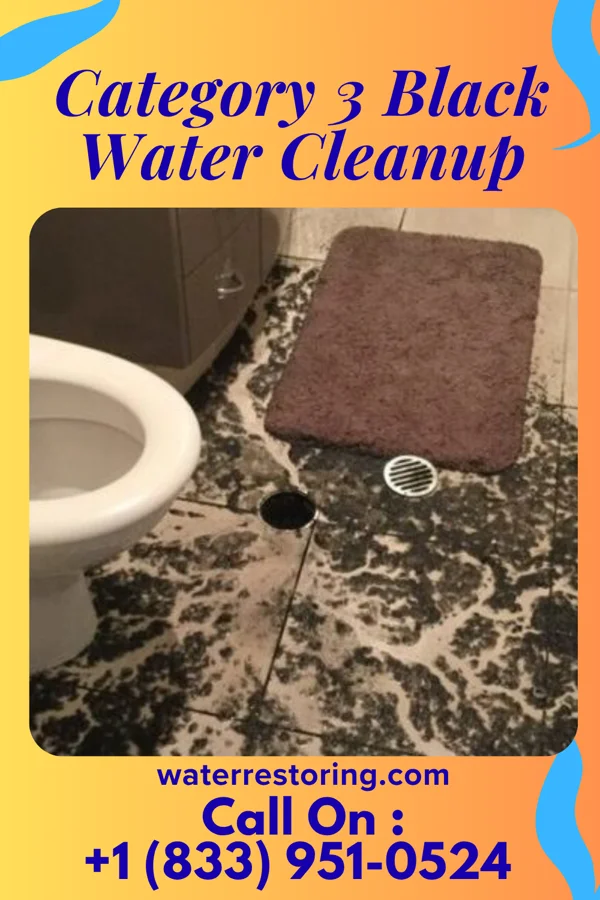 Category 3 Black Water Cleanup in Cotton Town, PA