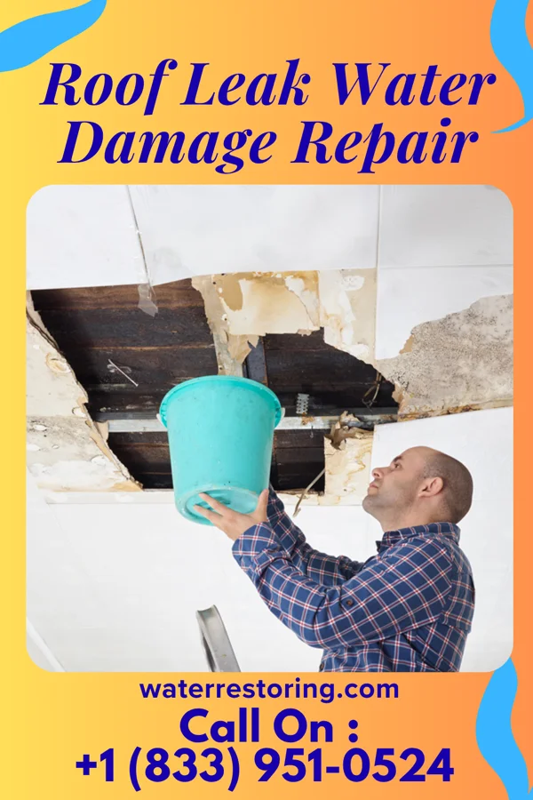 Roof Leak Water Damage Repair in Cotton Town, PA