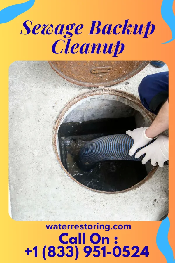Sewage Backup Cleanup in Cotton Town, PA