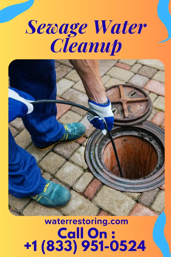Sewage Water Cleanup in Cotton Town, PA
